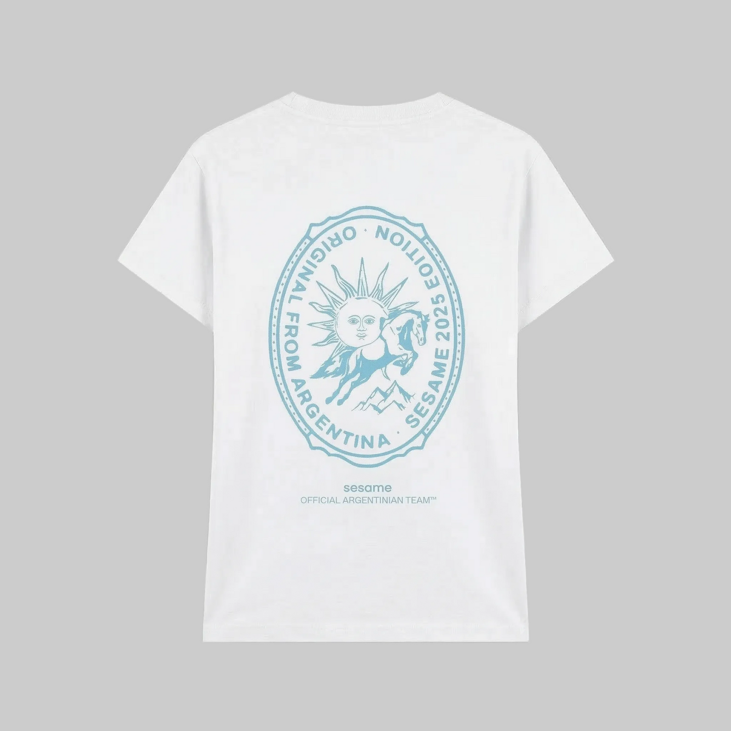 Camiseta Argentinian Team