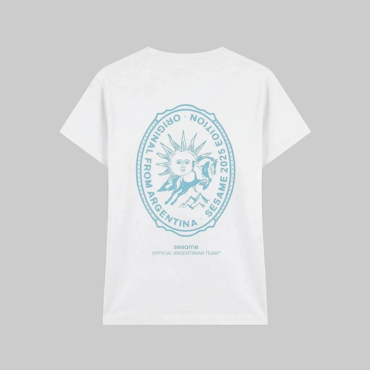 Camiseta Argentinian Team