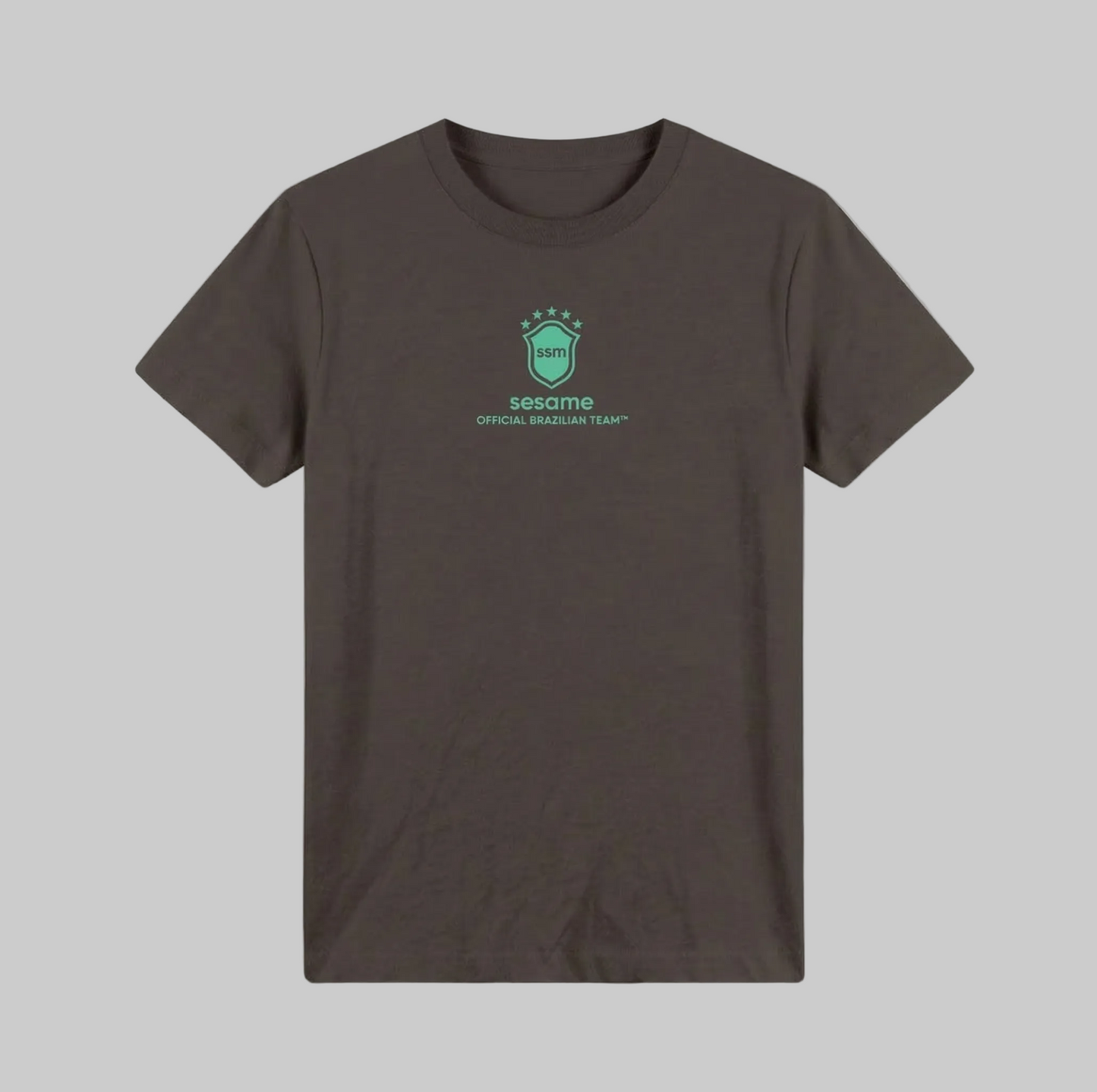 Camiseta Brazilian Team