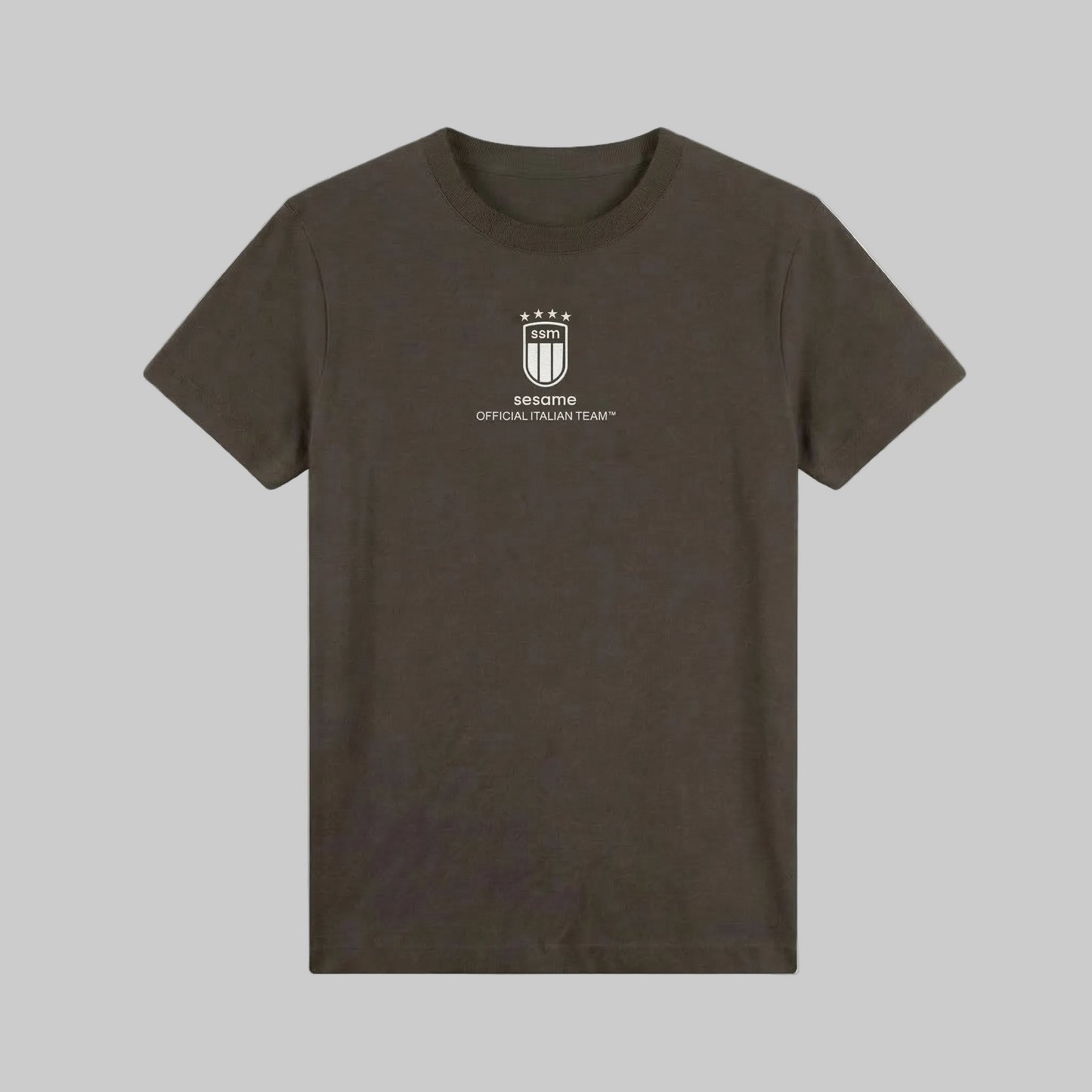 Camiseta Italian Team