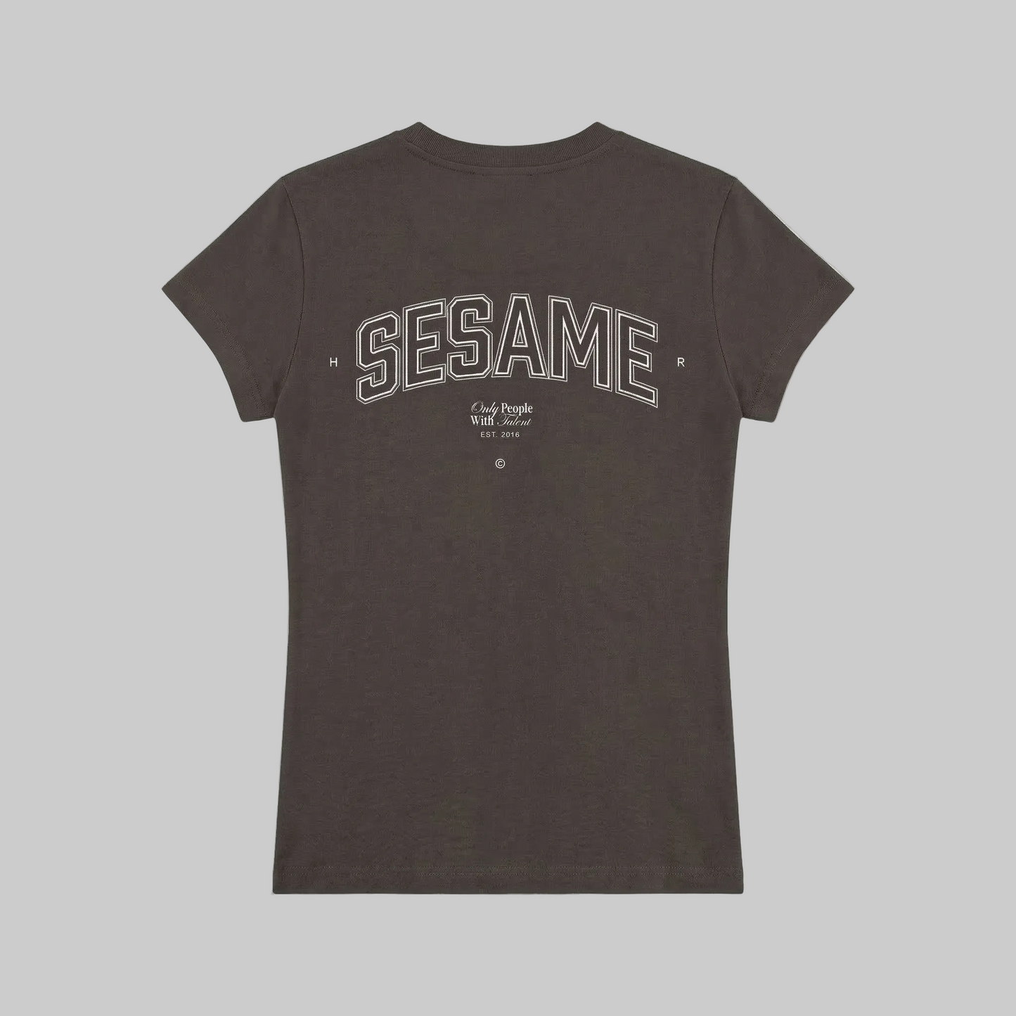 Camiseta Human Resources