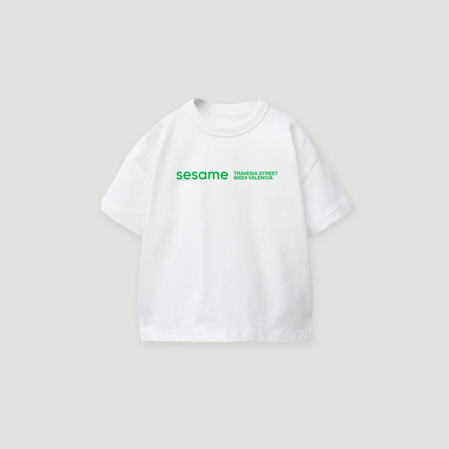 Camiseta Sesame Street KID